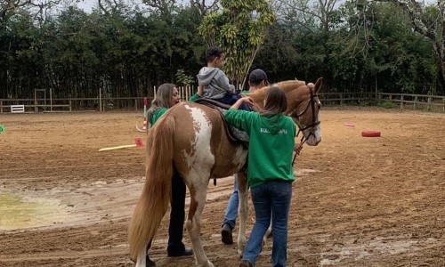 Prefeitura de Itatiaia disponibiliza atendimento de equoterapia na rede pública de saúde